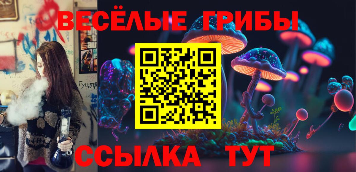 как найти закладки  Галлюциногенные грибы MAGIC MUSHROOMS  Вход с VPN  Камень-на-Оби 