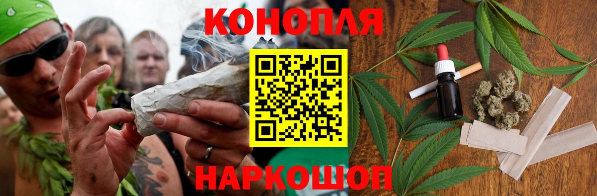 Конопля конопля Камень-на-Оби